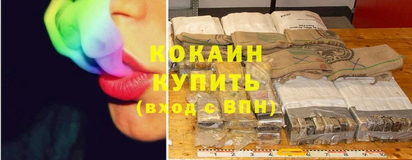 мдпв Бронницы