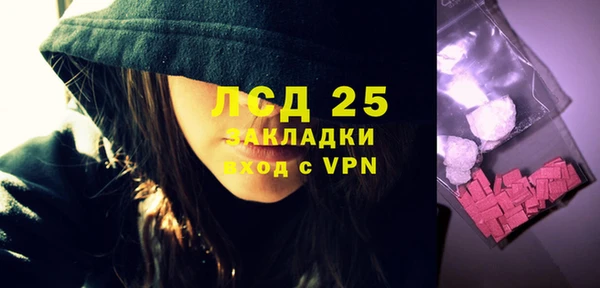 прущие грибы Бородино