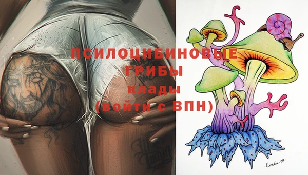 прущие грибы Бородино