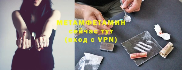 прущие грибы Бородино