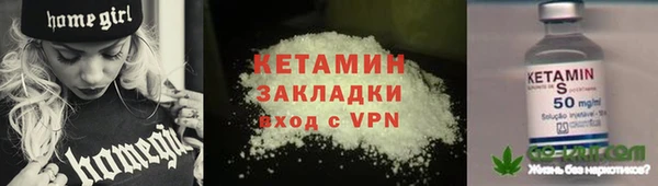 прущие грибы Бородино