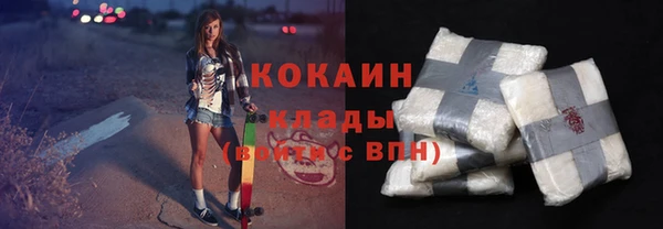 прущие грибы Бородино
