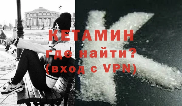 прущие грибы Бородино