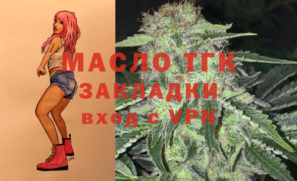 мдпв Бронницы