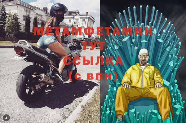 прущие грибы Бородино